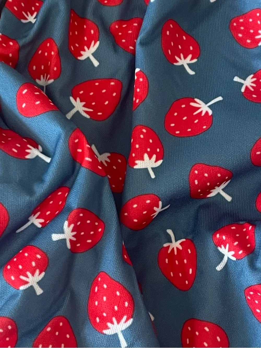 ALVABABY…..Reusable Diaper Cover in Blue with Fruit & Floral Prints